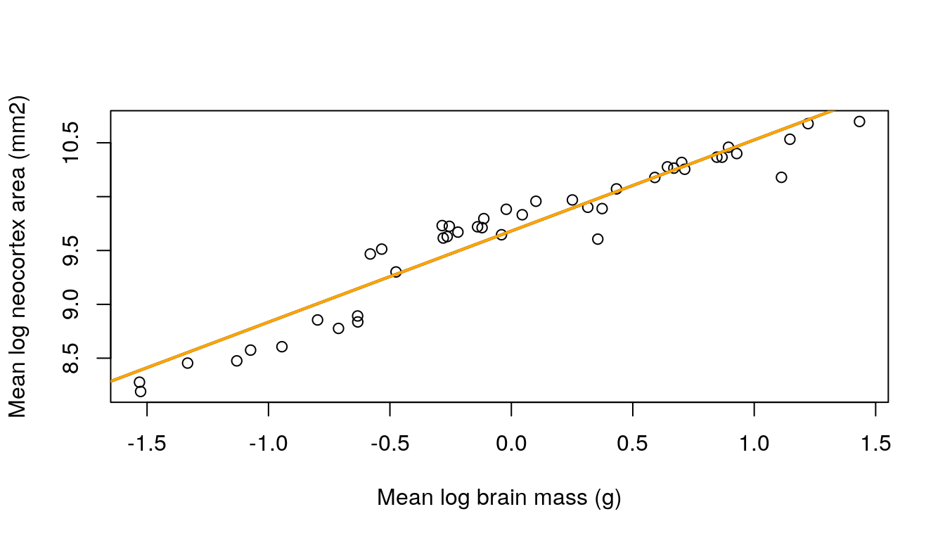 The evolutionary (black) and optimal (orange) regression lines for the model of mean log neocortex area (mm$^2$) on mean log brain mass (g), both corrected for bias due to measurement error in mean log brain mass.