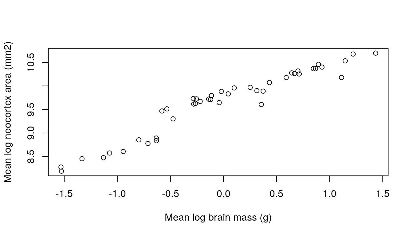 Scatter plot of mean log neocortex area (mm$^2$) on mean log brain mass (g).